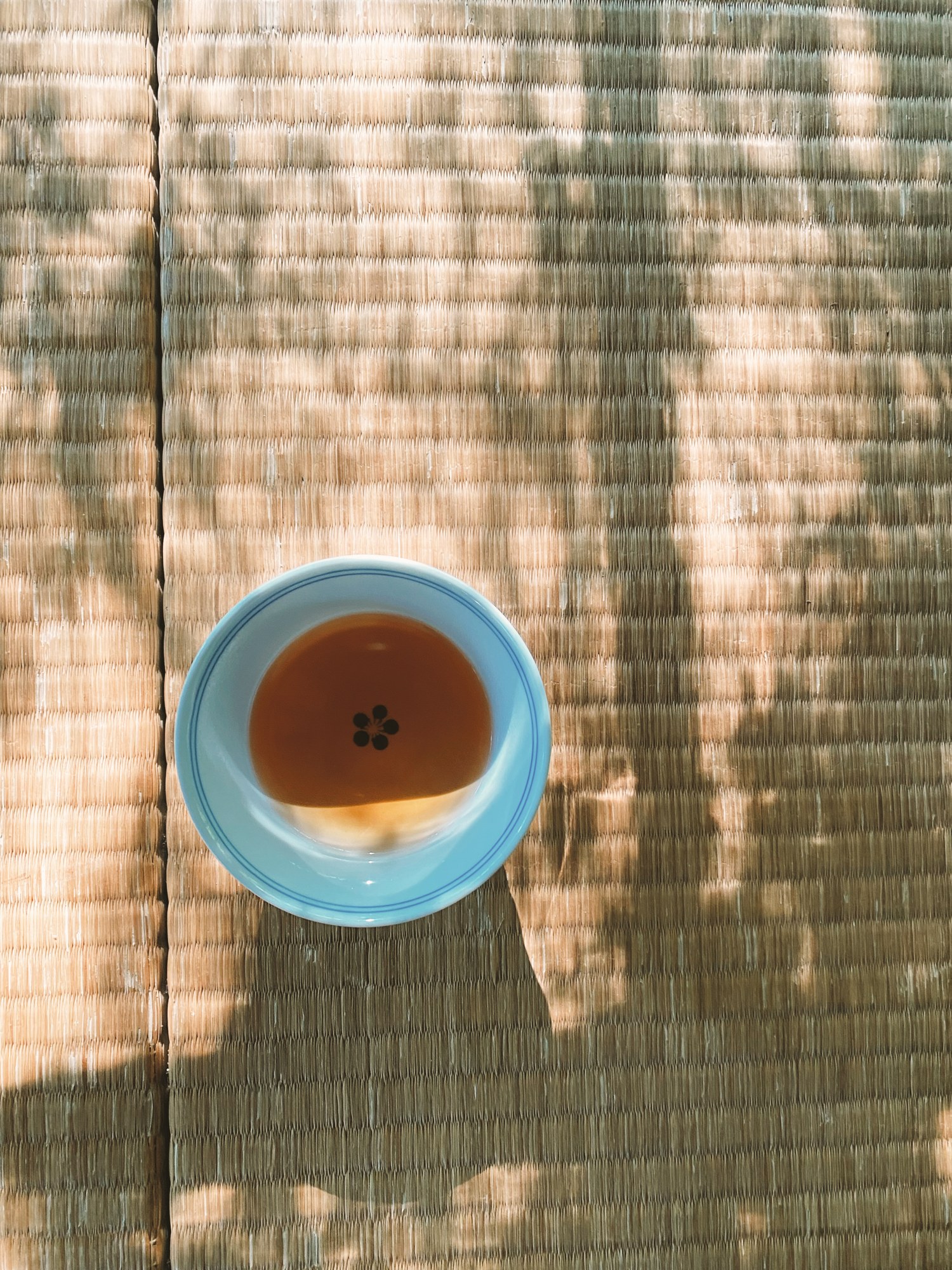 A cup of tea in tatami light